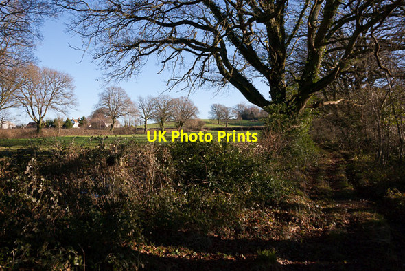 Photo 6"x4" Sciviers Farm seen from The Crescent Wintershill c2014