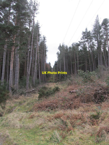 Photo 6"x4" Power lines feeding the Drinnahilly Transmitting Station Newcastle\/J3732 c2014
