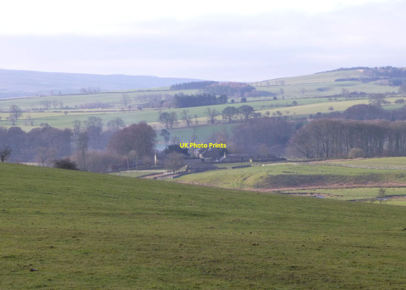 Photo 6"x4" Looking across pasture  High Trewhitt\/NU0005 c2014