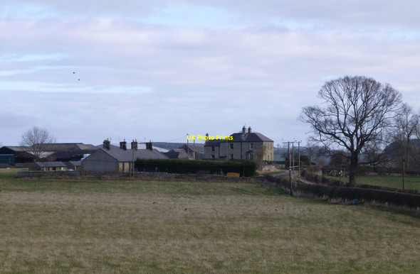 Photo 6"x4" Trewhitt Steads High Trewhitt\/NU0005 c2014