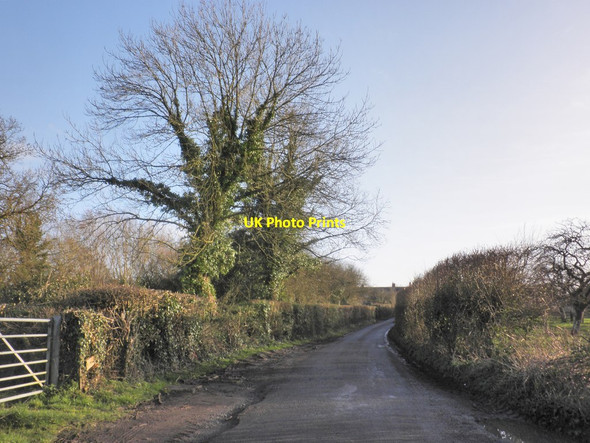 Photo 6"x4" Perry Road, Mark Mark\/ST3847 c2014