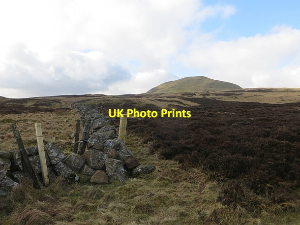 Photo 6"x4" Dyke and fence, Lomond Hills Gateside\/NO1809 c2014