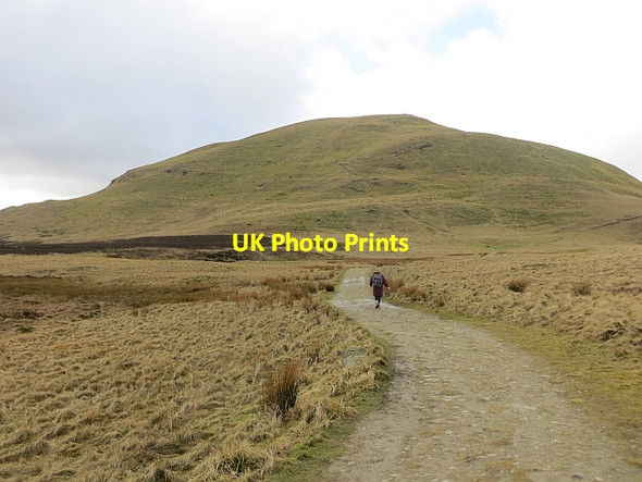Photo 6"x4" Track towards West Lomond Gateside\/NO1809 c2014