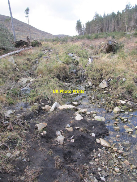 Photo 6"x4" Stream erosion in Donard Wood Newcastle\/J3732 c2014