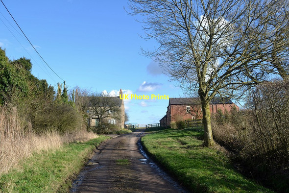 Photo 6"x4" Sawbridge Farms Sawbridge c2014