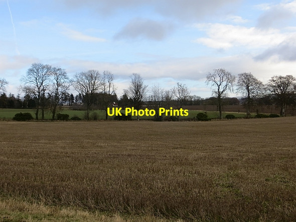 Photo 6"x4" Stubble, Easter Bendochy Coupar Angus c2014