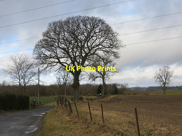 Photo 6"x4" Minor road, Coupargrange Coupar Angus c2014