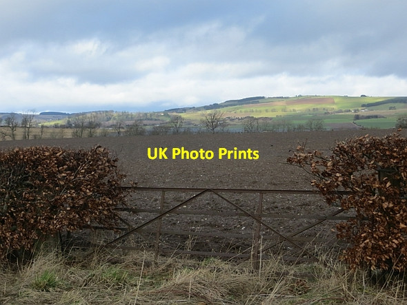 Photo 6"x4" Strathmore arable land Rosemount\/NO1943 c2014