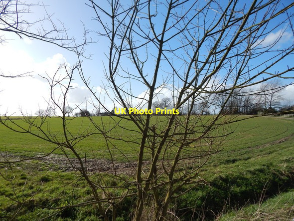 Photo 6"x4" Trees and ditch, Round Maple Edwardstone c2014