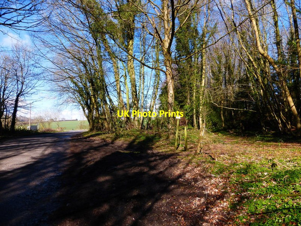 Photo 6"x4" Footpath leaves Bordean Lane Lower Bordean c2014