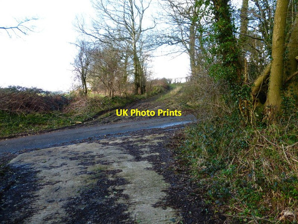 Photo 6"x4" One track leads to another across lane north of Lower Bordean Froxfield Green c2014