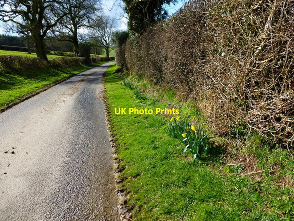 Photo 6"x4" Unnamed lane going west from Bower Farm Froxfield Green c2014