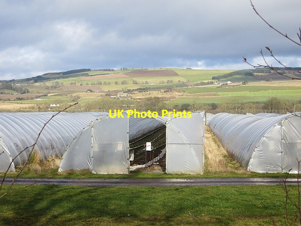 Photo 6"x4" Polytunnels, Rosemount Rosemount\/NO1943 c2014