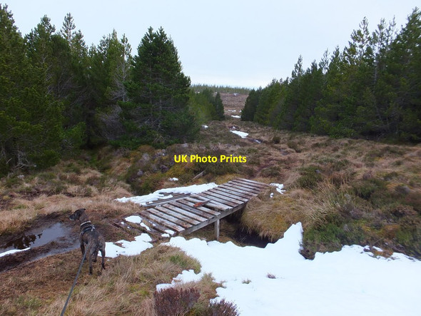 Photo 6"x4" Boardwalk over ditch at forest's edge Allt a' Choin Idhir\/NH4864 c2014