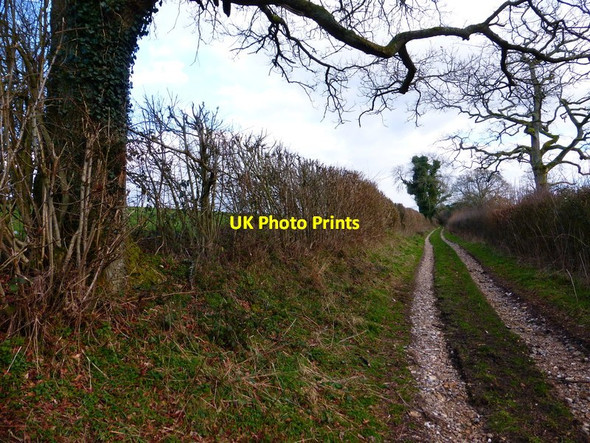 Photo 6"x4" Byway to Old Down Farm from Peak farm Privett\/SU6726 c2014