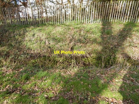 Photo 6"x4" Ditch near Priory House Priory Green c2014