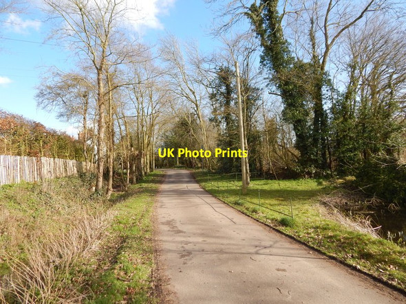 Photo 6"x4" Road to Round Maple from pond south of Priory House Priory Green c2014
