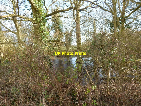 Photo 6"x4" Pond at Road junction Priory Green c2014