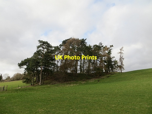 Photo 6"x4" Wooded spur near Pictfield Westfields of Rattray c2014