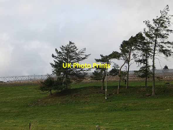 Photo 6"x4" Wood, Pictfield Rosemount\/NO1943 c2014