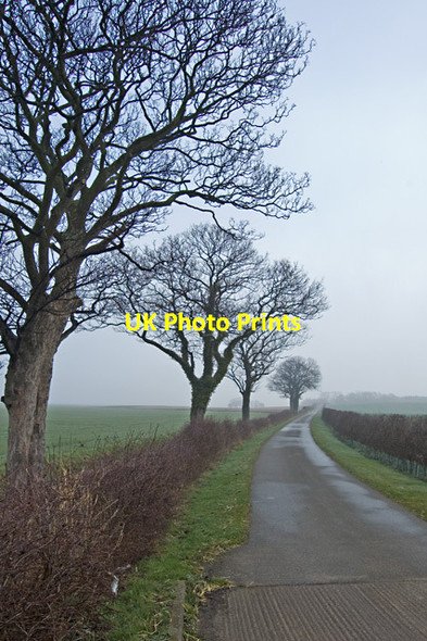 Photo 6"x4" Track to Nuthill, near Preston (E Yorks) Hedon c2014