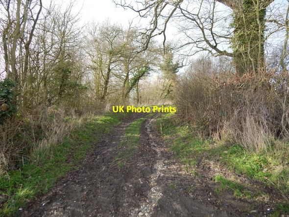 Photo 6"x4" Path North of Edwardstone Edwardstone c2014