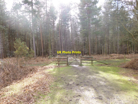 Photo 6"x4" Milkham Inclosure, gate Linwood\/SU1809 c2014