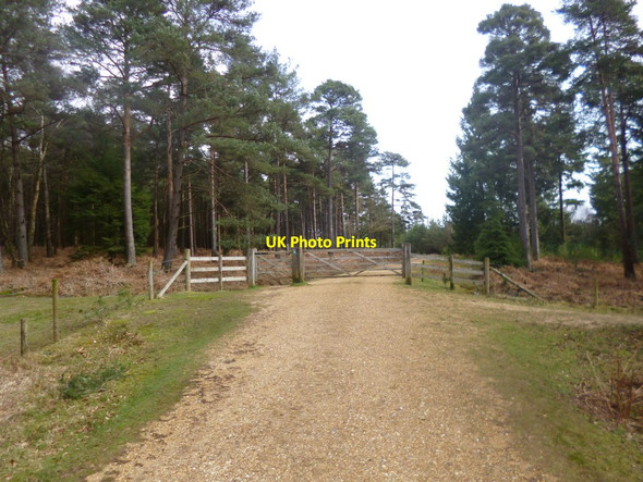 Photo 6"x4" Milkham Inclosure, gates Linwood\/SU1809 c2014