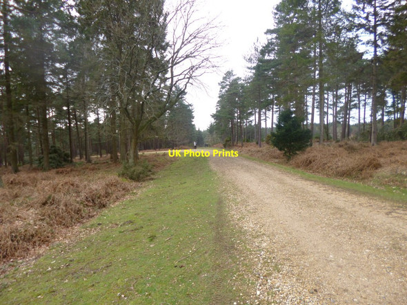 Photo 6"x4" Milkham Inclosure, cycle route Linwood\/SU1809 c2014
