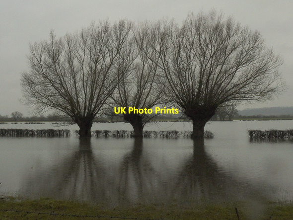 Photo 6"x4" Three Willows Bishop's Norton c2014