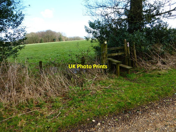 Photo 6"x4" Footpath leaves byway south of Brightstone Lane Four Marks c2014