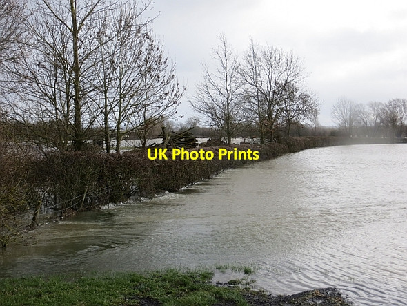 Photo 6"x4" Floods, Newtown Leominster c2014 P1