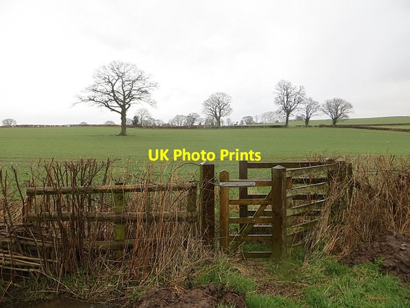 Photo 6"x4" Kissing gate Meer Common c2014