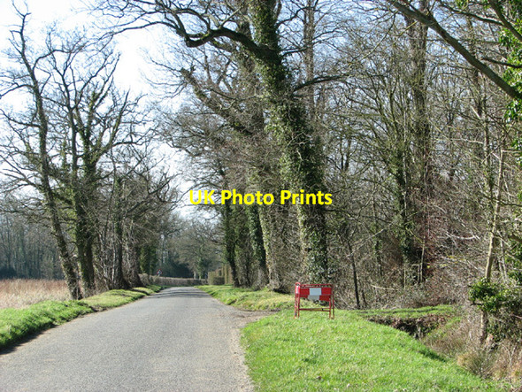 Photo 6"x4" Wattlefield Road past Ted's Plantation Wattlefield c2014
