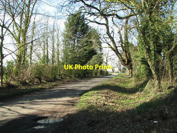 Photo 6"x4" To Spooner Row on Guiler's Lane Bunwell Bottom c2014