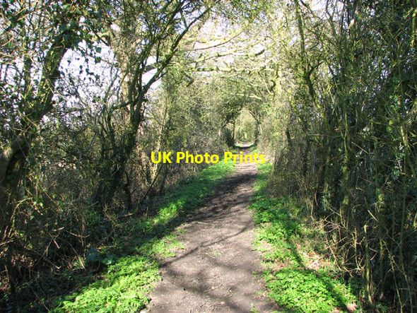 Photo 6"x4" Bridleway to Guiler's Farm Bunwell Bottom c2014