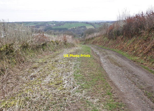 Photo 6"x4" Track to Broford Farm Bridgetown\/SS9233 c2014