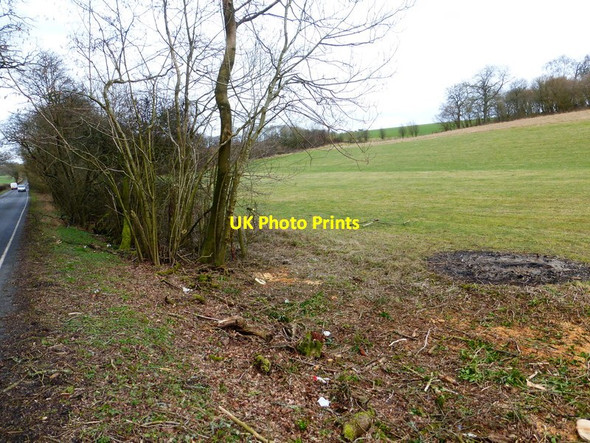 Photo 6"x4" Field corner east of the A32 Colemore c2014
