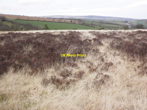 Photo 6"x4" Exmoor in winter Winsford\/SS9034 c2014