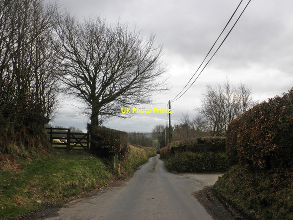 Photo 6"x4" Sparrow Lane Withypool c2014