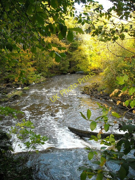 Photo 6"x4" Torrance Linn on Rotten Calder East Kilbride\/NS6354 c2008