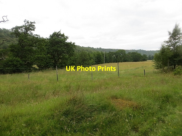 Photo 6"x4" Meadows,  Glen Tromie Croidh-la c2013