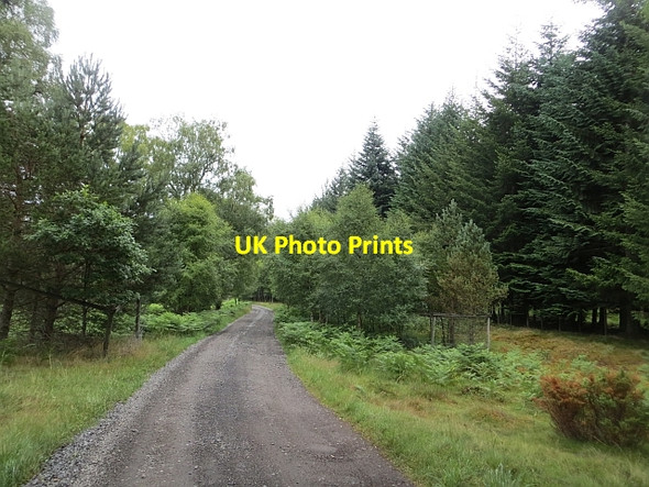 Photo 6"x4" Glen Tromie Drumguish\/NN7999 c2013