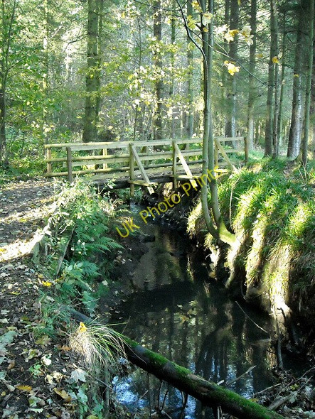Photo 6"x4" Bridge over Small Burn in Calderglen Country Park East Kilbride\/NS6354 c2008