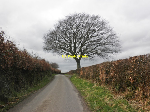 Photo 6"x4" Kitridge Lane Withypool c2014