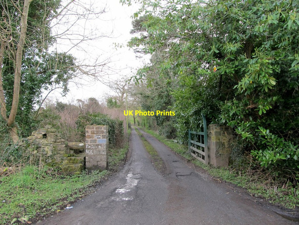 Photo 6"x4" Lane leading to Inch Abbey Downpatrick c2014