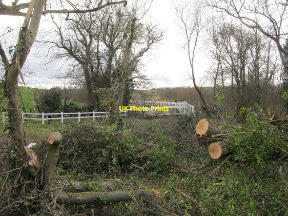 Photo 6"x4" Walkway leading to Inch Abbey Station Downpatrick c2014