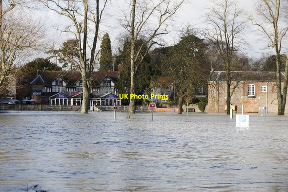 Photo 6"x4" Looking across the floods Wallingford c2014