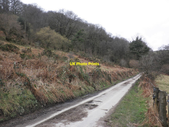 Photo 6"x4" Great Cleeve Hawkridge c2014