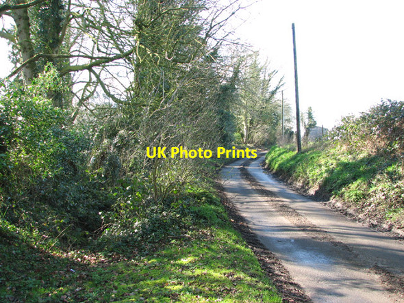Photo 6"x4" Mergate Lane Bracon Ash c2014